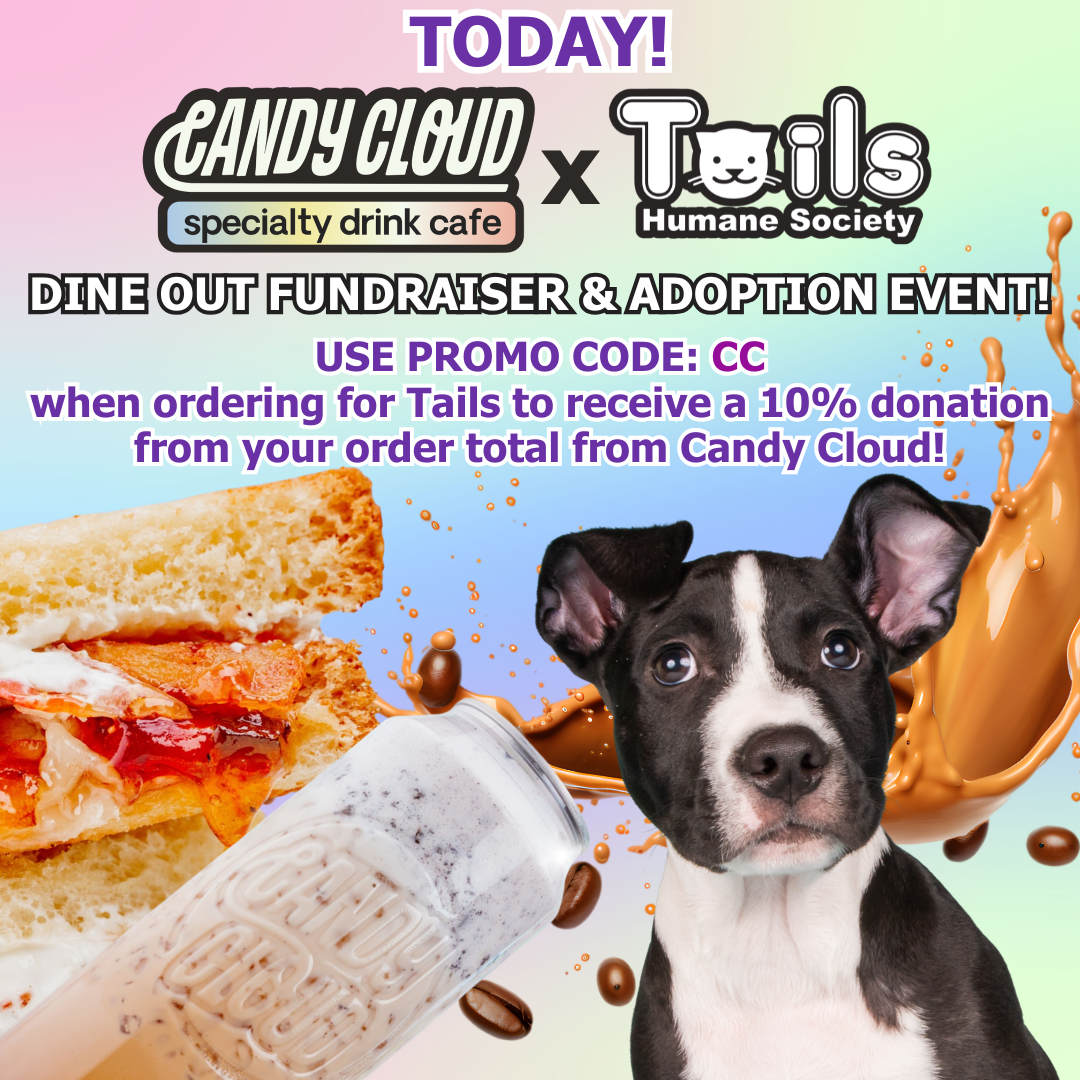 candy%20cloud.png