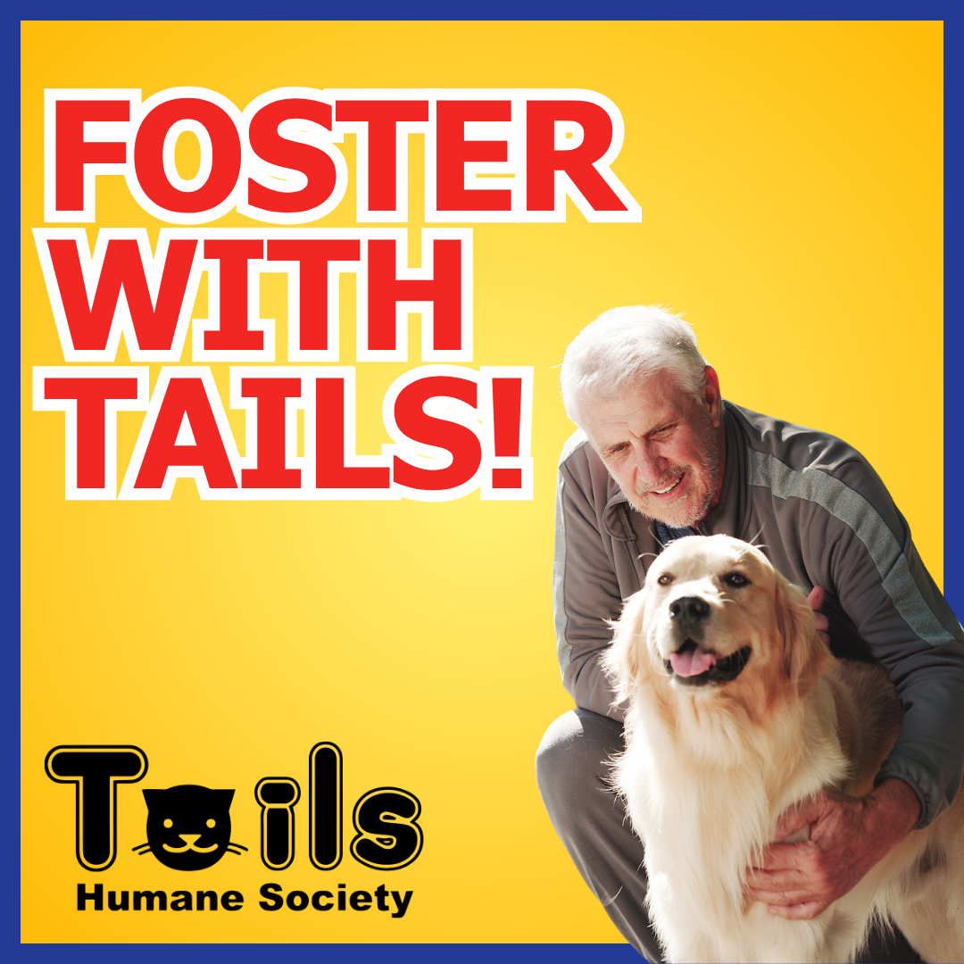 foster%20with%20tails%3D.png