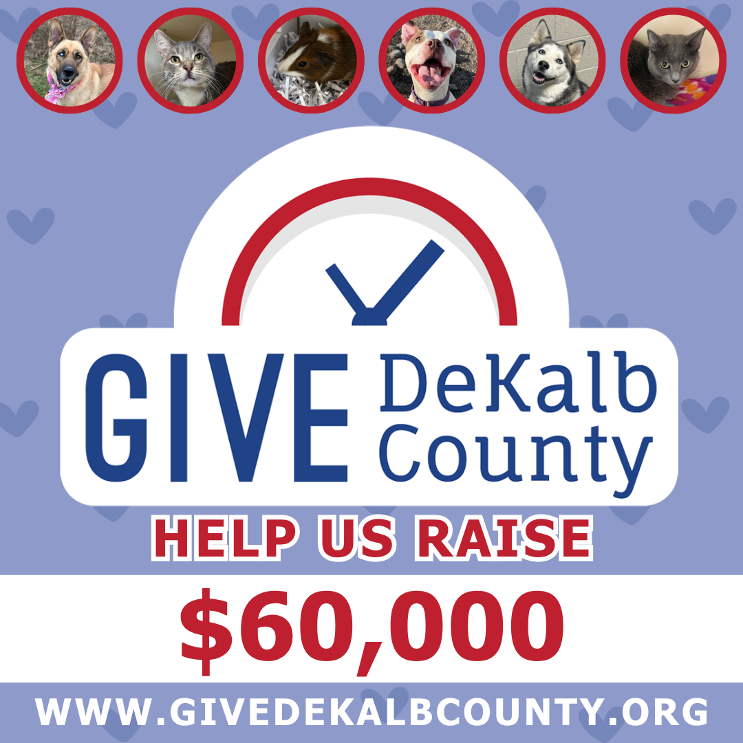 give%20dekalb%20county%20social%20media%20graphic.png