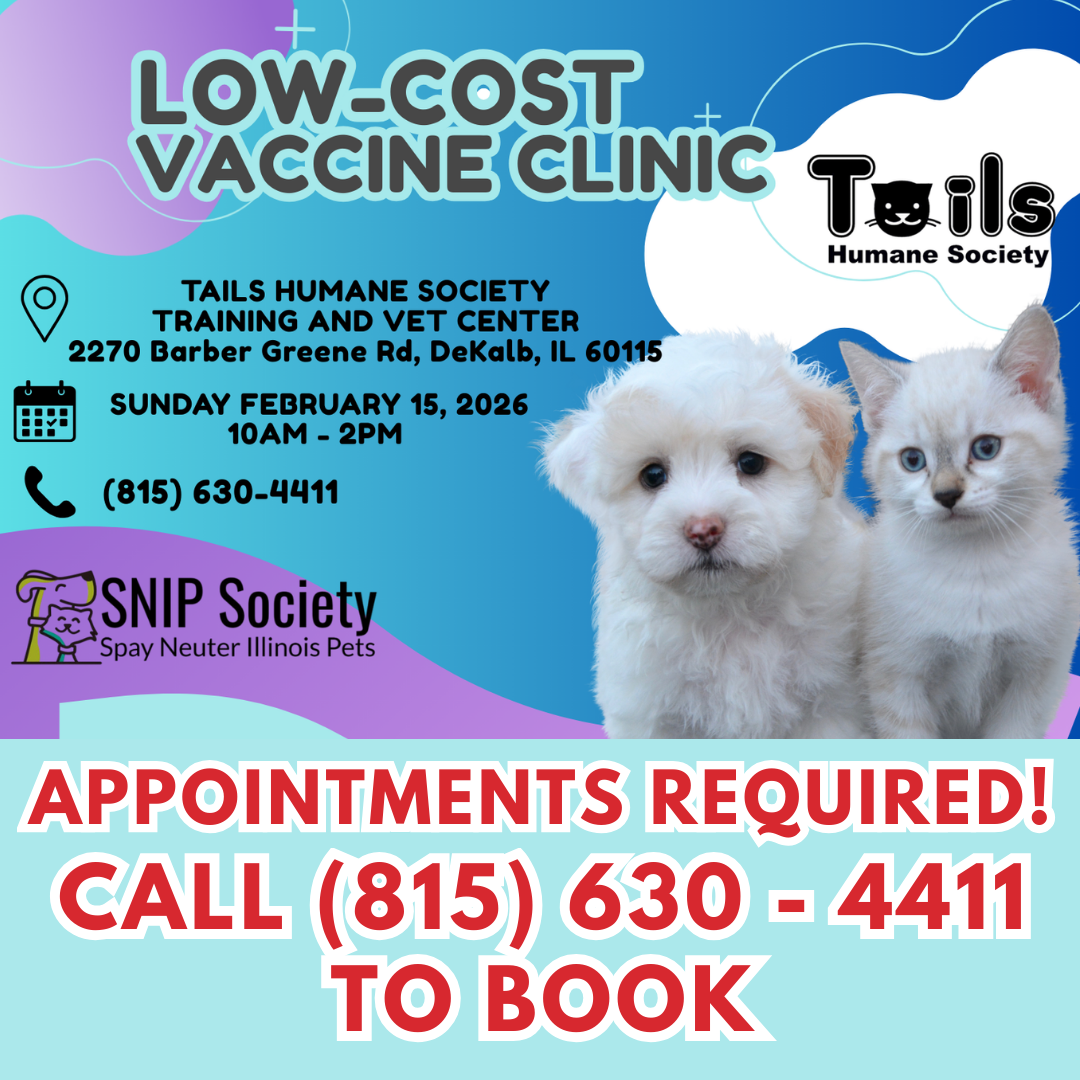 low%20cost%20vaccine%20clinic%201.png